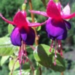 赏金大对决:成功者的思维方式与习惯 k95mz0ys