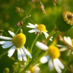 赏金大对决:背后的故事与参与者的心声 tiwomq311